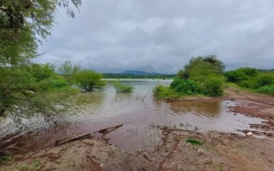 OBRAS ESTATALES PERMITIERON CAPTAR AGUA DE LLUVIA EN APOYO AL CAMPO