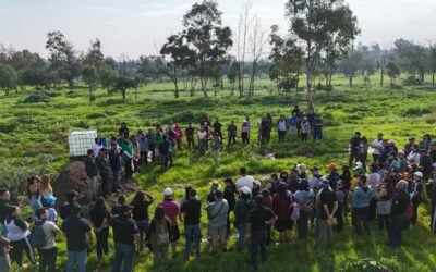 REFORESTACIÓN SIN LÍMITES EN LOS PARQUES TANGAMANGA