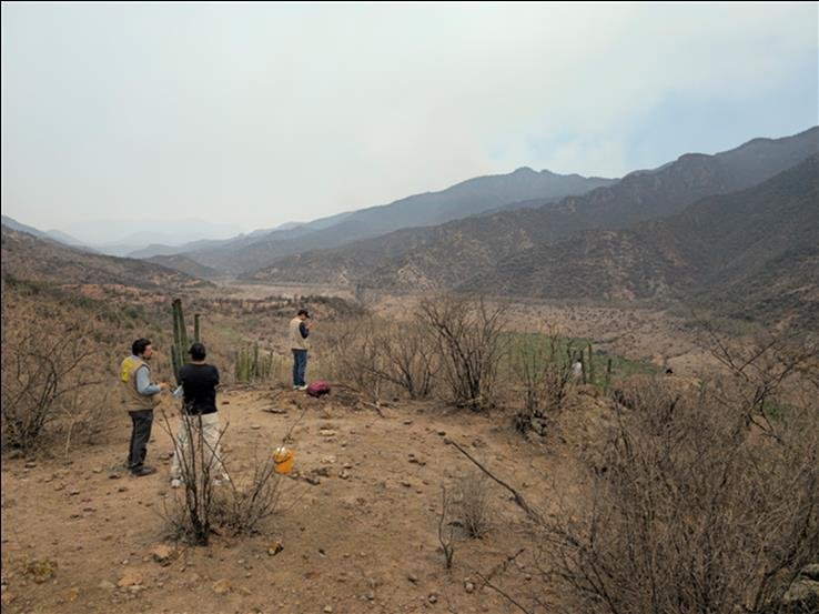 INVESTIGADORES TRANSFORMAN ESPECIES INVASORAS EN SOLUCIONES AMBIENTALES