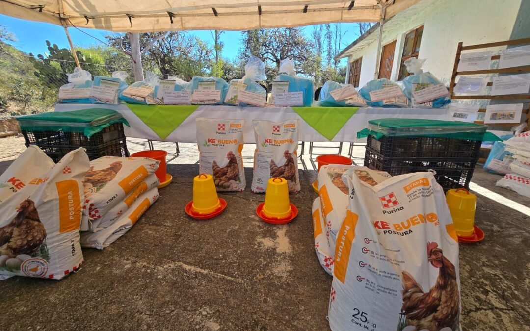 GOBIERNO ESTATAL FOMENTA AUTOSUFICIENCIA ALIMENTARIA