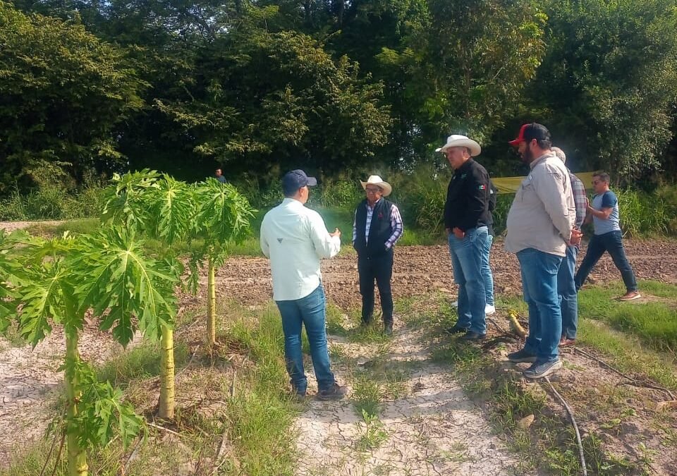 AVANZA CENSO DE DAÑOS POR INUNDACIONES EN LA HUASTECA