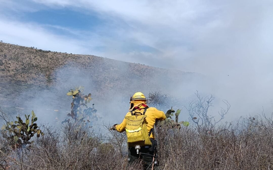 FORTALECEN ESTRATEGIA ESTATAL CONTRA INCENDIOS FORESTALES