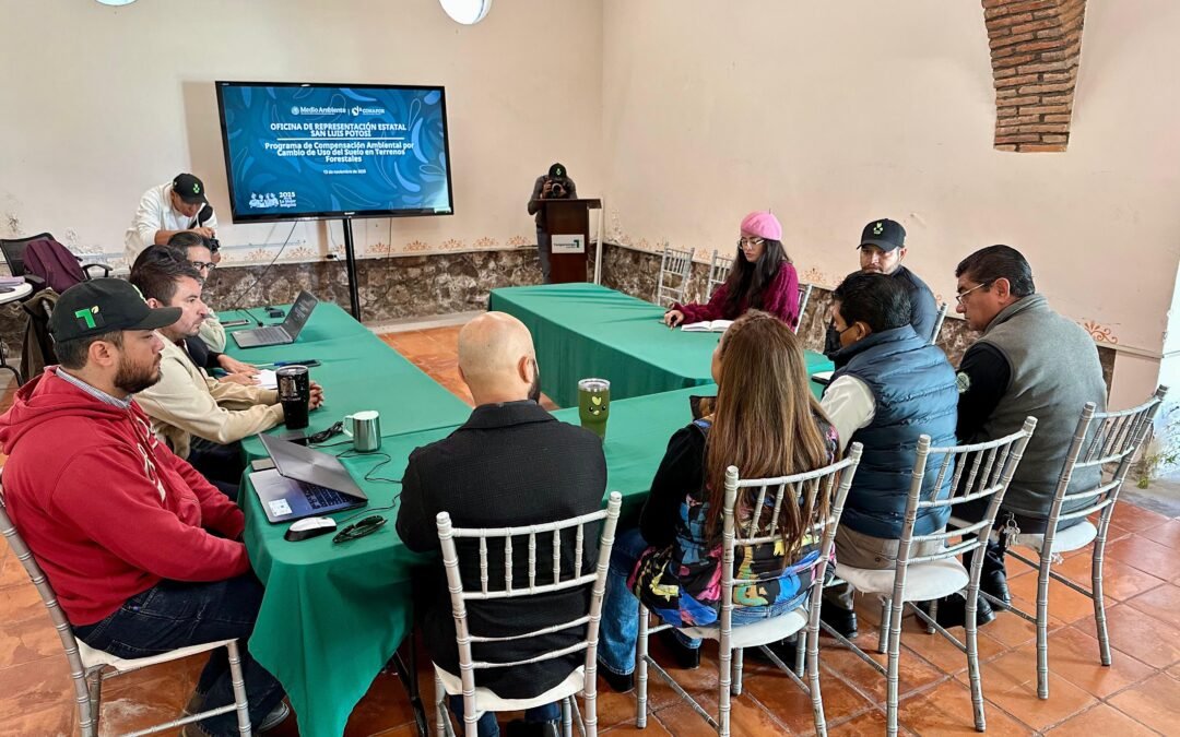 GOBIERNO DEL ESTADO SUPERVISA ACCIONES ECOLÓGICAS EN TANGAMANGA I