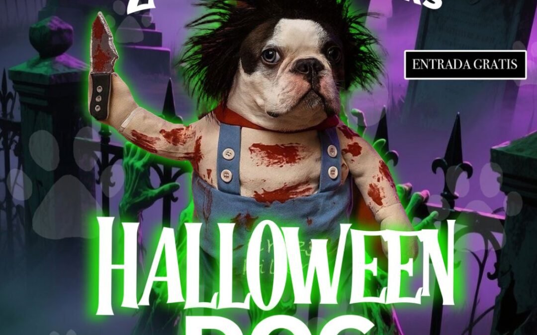 GOBIERNO ESTATAL ORGANIZA FIESTA DE DISFRACES CANINA EN EL INPOJUVE