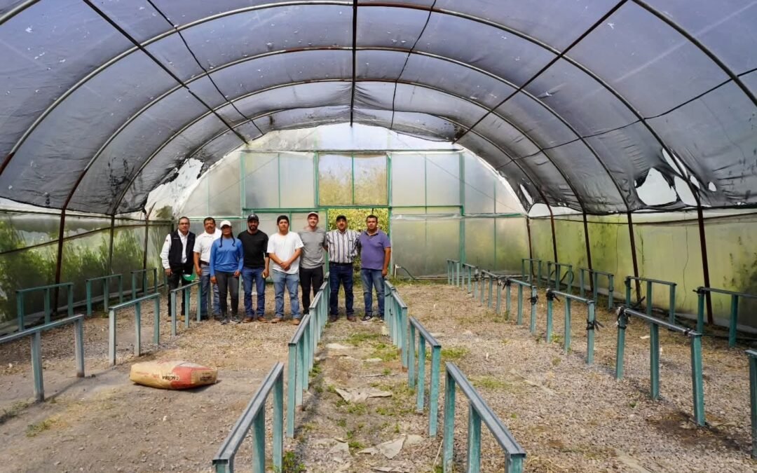 IMPULSAN SISTEMA ACUAPÓNICO SUSTENTABLE EN SAN LUIS POTOSÍ