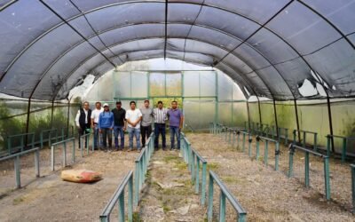 IMPULSAN SISTEMA ACUAPÓNICO SUSTENTABLE EN SAN LUIS POTOSÍ