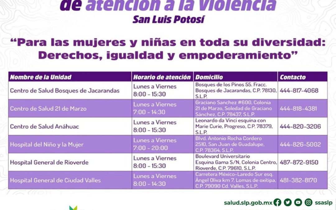 DÍA INTERNACIONAL DE LA ELIMINACIÓN DE LA VIOLENCIA CONTRA LAS MUJERES