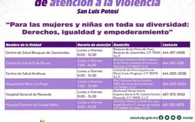 DÍA INTERNACIONAL DE LA ELIMINACIÓN DE LA VIOLENCIA CONTRA LAS MUJERES