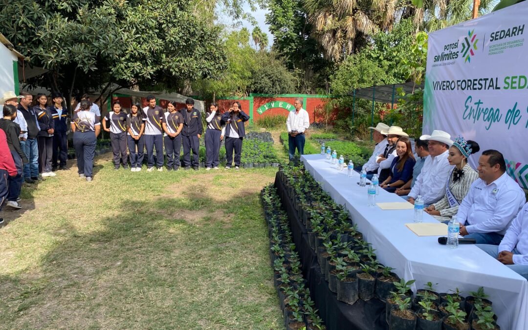 AVANZA PRODUCCIÓN DE CAFÉ DE ALTA CALIDAD EN LA HUASTECA