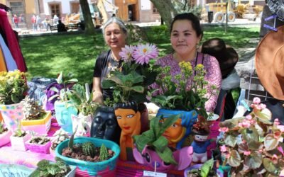 GOBIERNO ESTATAL IMPULSA A MUJERES EMPRENDEDORAS