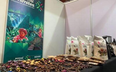 GOBIERNO ESTATAL CREARÁ LA RUTA DEL CAFÉ